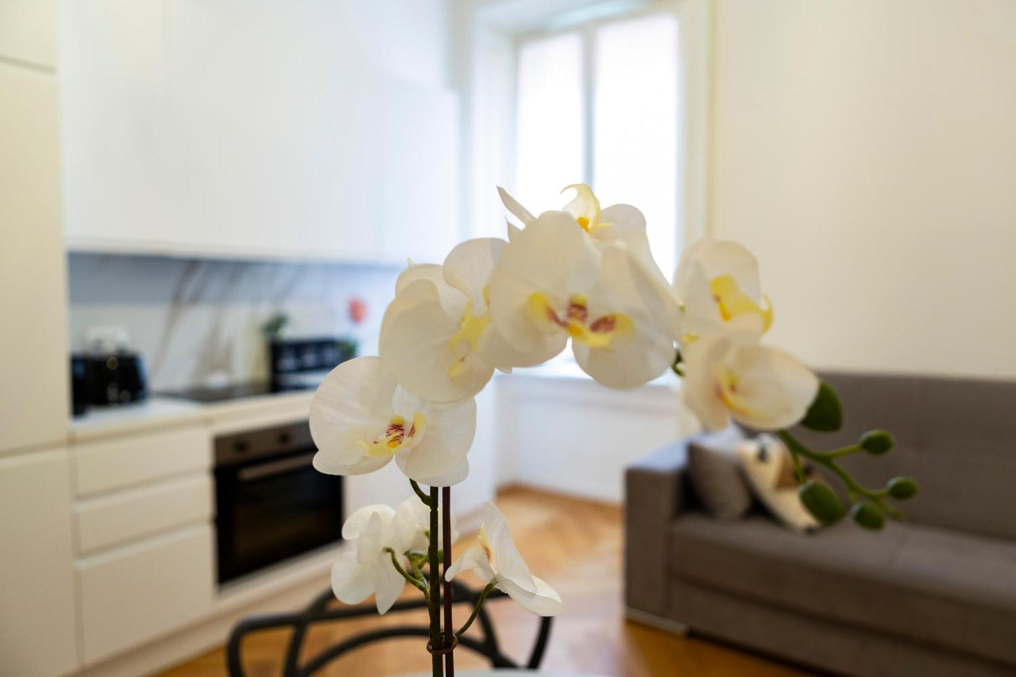 Macchi Delicious Apartment By 101Flats Milano Eksteriør billede